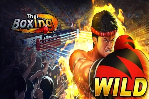 07461 thai boxing